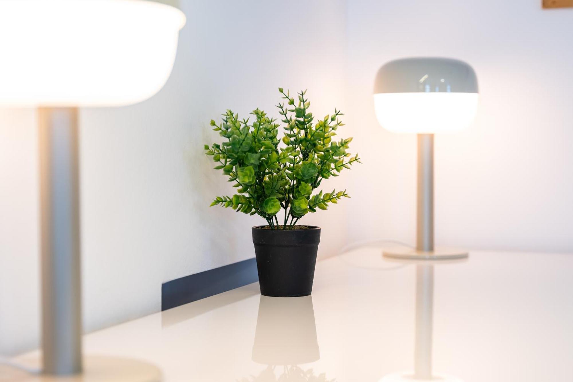 Premium - La Belle Vie Apartment *